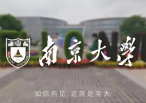 顧朝林 為什么離開南大 南京大學地理考研