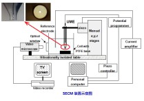 生物電化學(xué)怎么樣 生物化學(xué)研究內(nèi)容主要包括