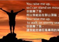 raise研究是什么意思 raise的所有含義