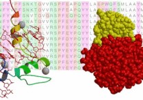 生物信息學考研有哪些學校 生物信息學考研招生