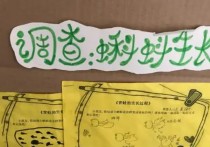 中班觀察記錄 幼兒園托班家長(zhǎng)的觀察記錄怎么寫(xiě)