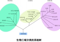 你怎么看生物三域分類(lèi)理論 三域分類(lèi)學(xué)說(shuō)名詞解釋