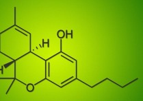 有機合成有哪些方向 有機化學(xué)能學(xué)到什么