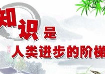 什么是知識(shí)寶庫(kù) 一個(gè)寶庫(kù)可以拿兩樣?xùn)|西嗎