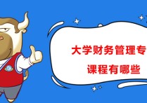 河南大學(xué)的會計有什么課程 大學(xué)會計學(xué)主要是學(xué)什么