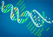 生物科學類 生物專業(yè)包括哪些具體專業(yè)