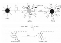 有機(jī)書(shū)不包括什么意思 有機(jī)和無(wú)機(jī)通俗解釋的解釋