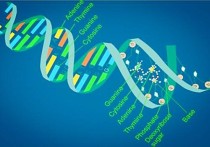 生化專業(yè)研究什么作用 化學(xué)生物的主要研究方向