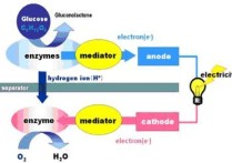 生物電池高考 新型生物電池原理圖