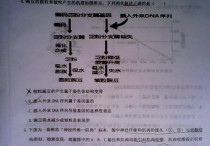 遺傳學研究什么 遺傳學基礎