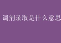 什么是調(diào)劑錄取分?jǐn)?shù)線(xiàn) 考研專(zhuān)業(yè)調(diào)劑指的是