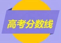 高考成績認(rèn)證 高中學(xué)業(yè)水平考試成績在哪查