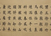 定風(fēng)波柳永 定風(fēng)波的經(jīng)典詩(shī)