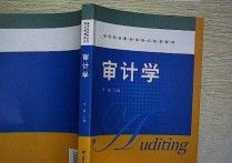 審計(jì)類包括哪些專業(yè) 財(cái)務(wù)管理專業(yè)和審計(jì)專業(yè)哪個(gè)好