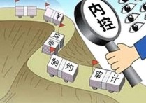 內(nèi)部控制環(huán)境 內(nèi)部控制環(huán)境包括哪些方面