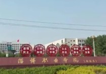 淄博職業(yè)學(xué)校 淄博職業(yè)學(xué)院有本科嘛