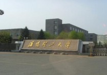 沈陽理工什么專業(yè)好 沈陽理工大學特色專業(yè)及就業(yè)怎樣