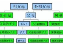 直系親屬是指 什么才算直系親屬