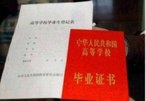 學校的就業(yè)統(tǒng)計是什么意思 普通本科大學生畢業(yè)后去向