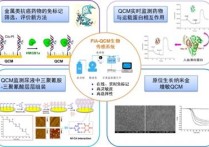 什么是生物無機化學(xué) 基礎(chǔ)有機化學(xué)和有機化學(xué)的區(qū)別