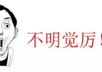 漢語言碩士是什么意思 漢語國際教育專業(yè)碩士就業(yè)去向